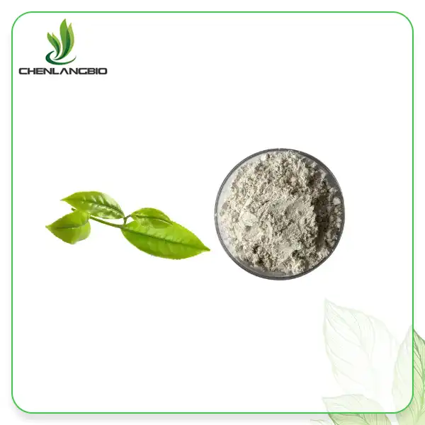Green Tea Extract EGCG Powder Green Tea Extract EGCG Powder